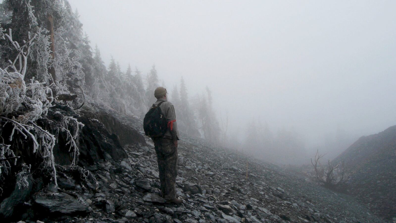 200428-pearl-moore-Planet-of-the-Humans-Still-Foggy-Mountain-lede_kvervo