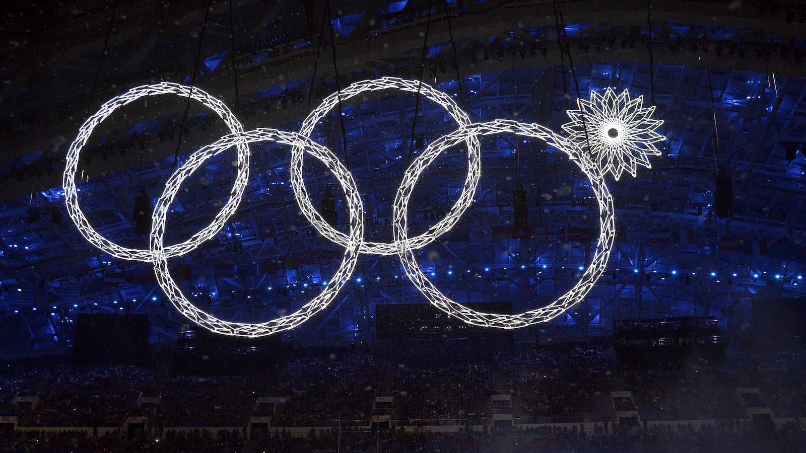 articles/2014/02/09/the-olympics-are-already-two-days-old-this-is-your-test/140207-williams-brown-3_shir2z