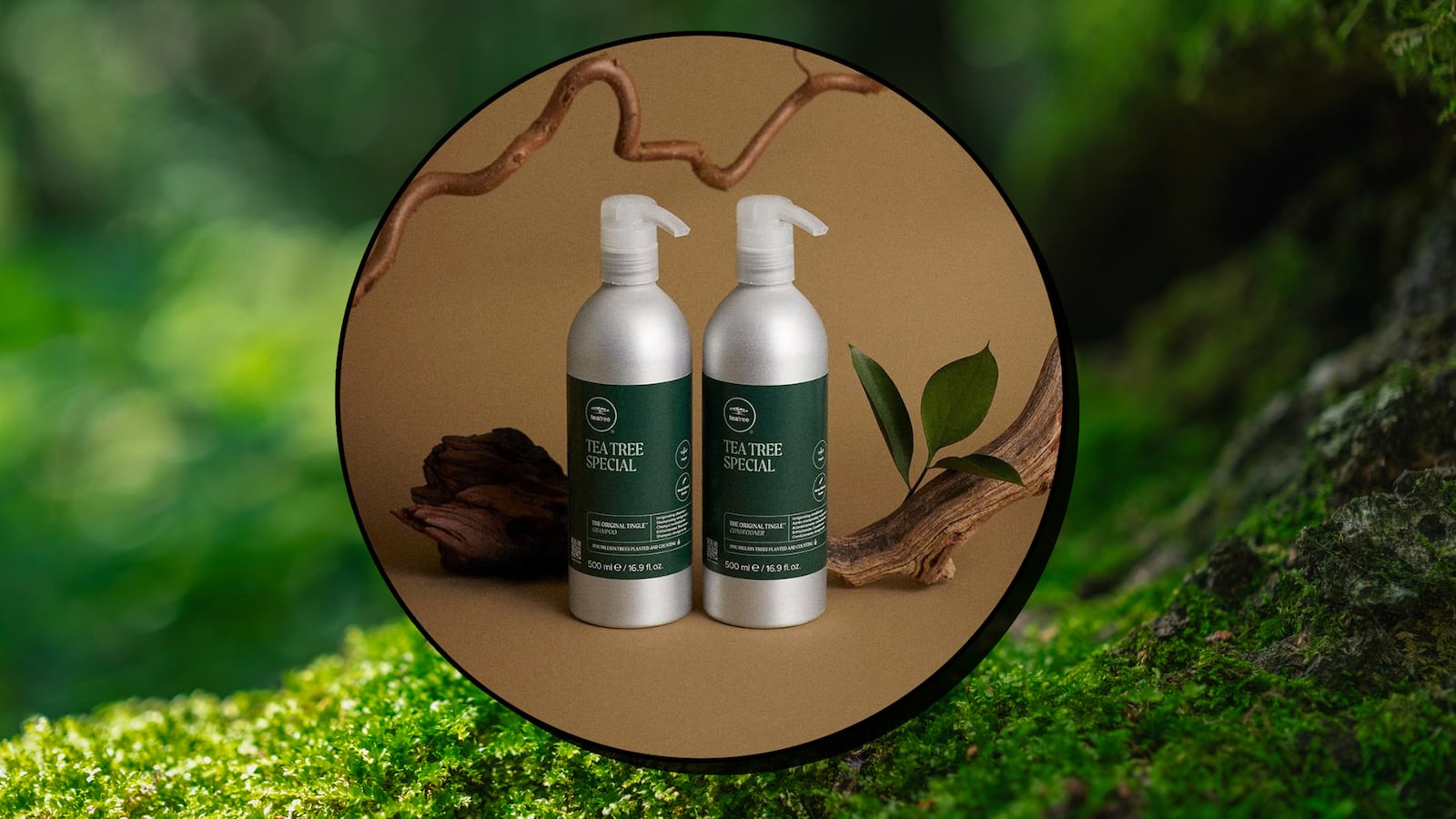 Paul Mitchell Tea Tree Oil Shampoo and Conditioner Review