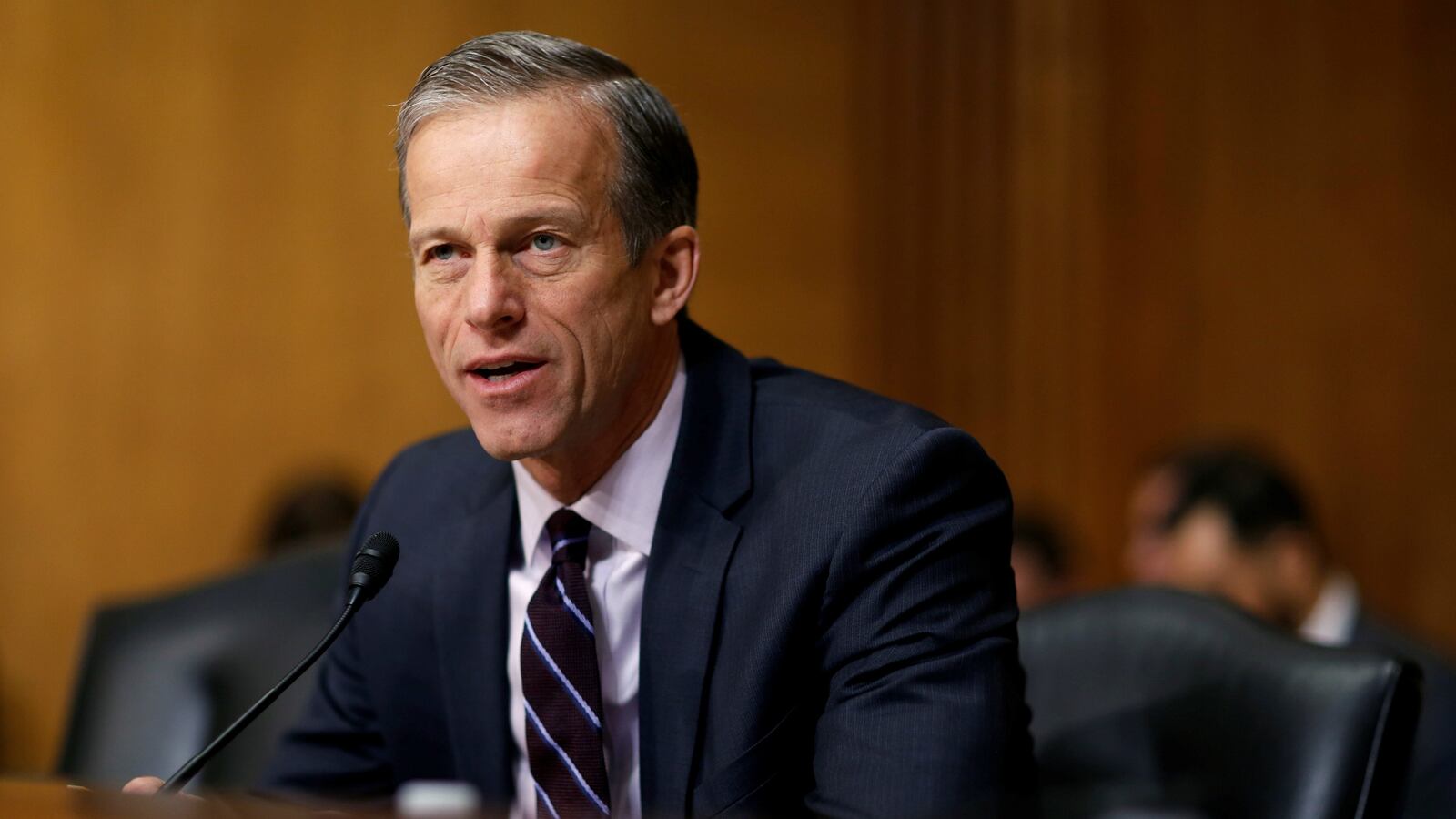 180226-thune-cheat_cy3iph