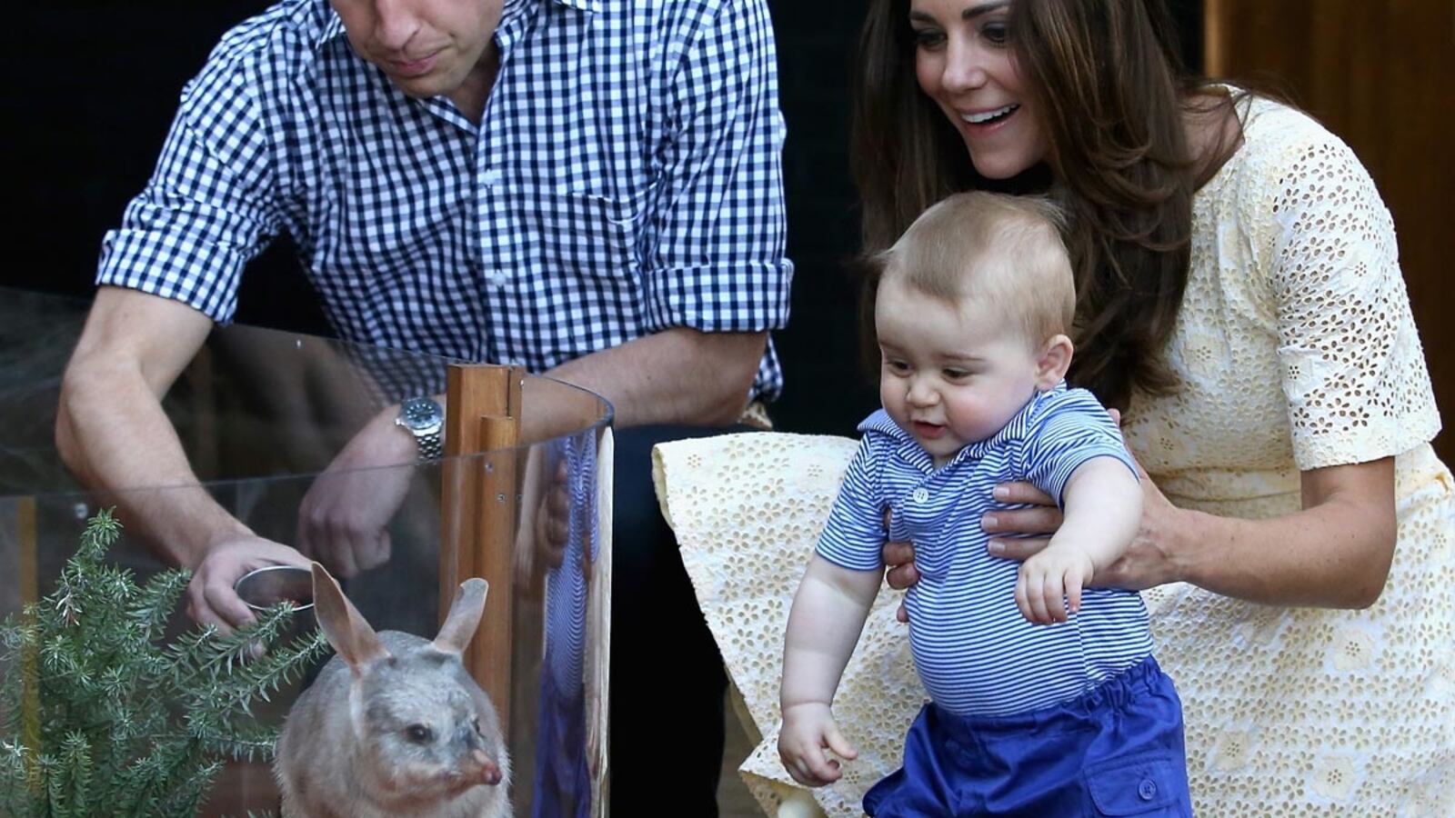 articles/2014/04/20/prince-george-and-the-easter-bunny/george-easter1_imgxv7
