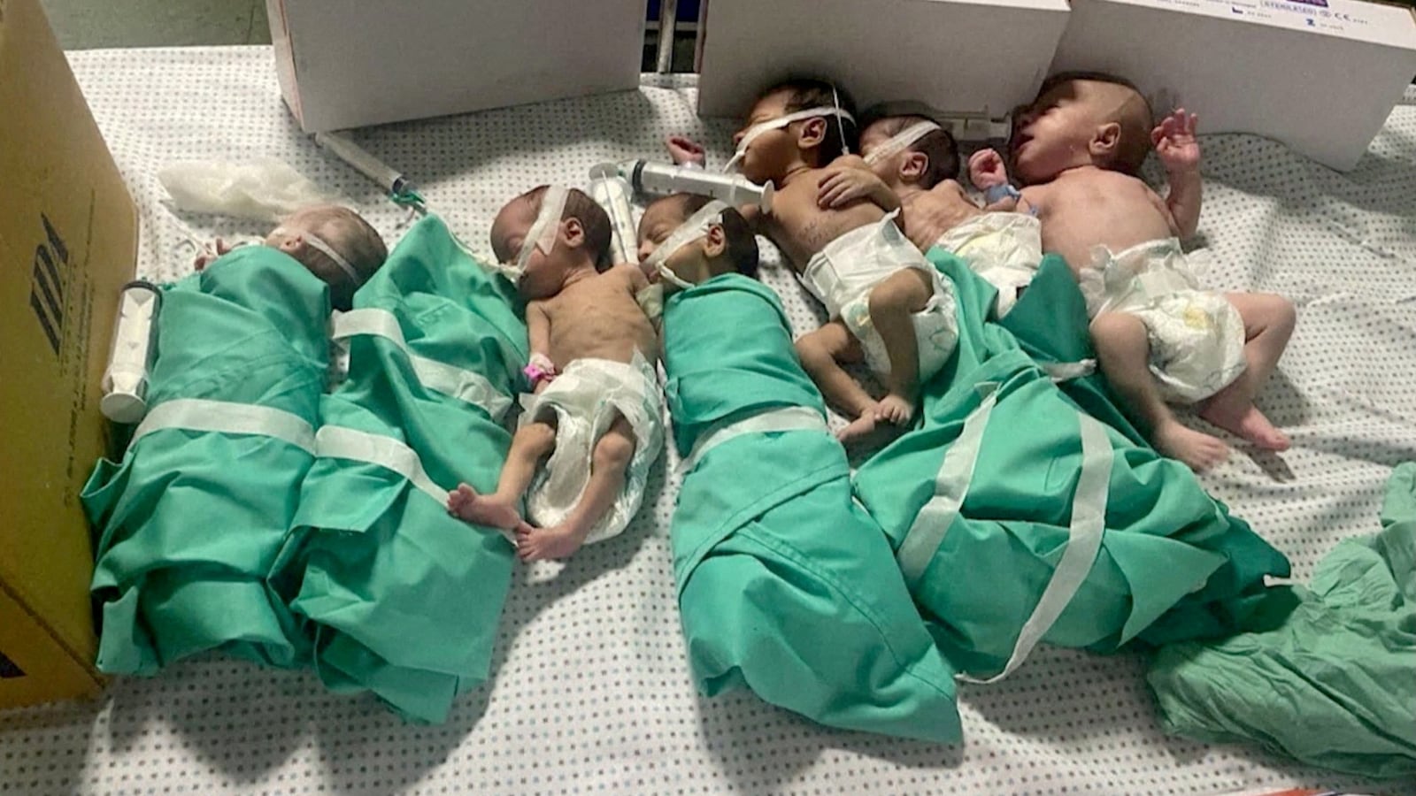 Premature babies at Al-Shifa Hospital