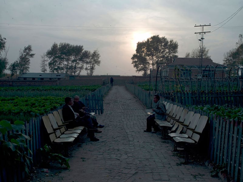 galleries/2011/01/19/hai-bo/hai-bo-11_qt6dz8