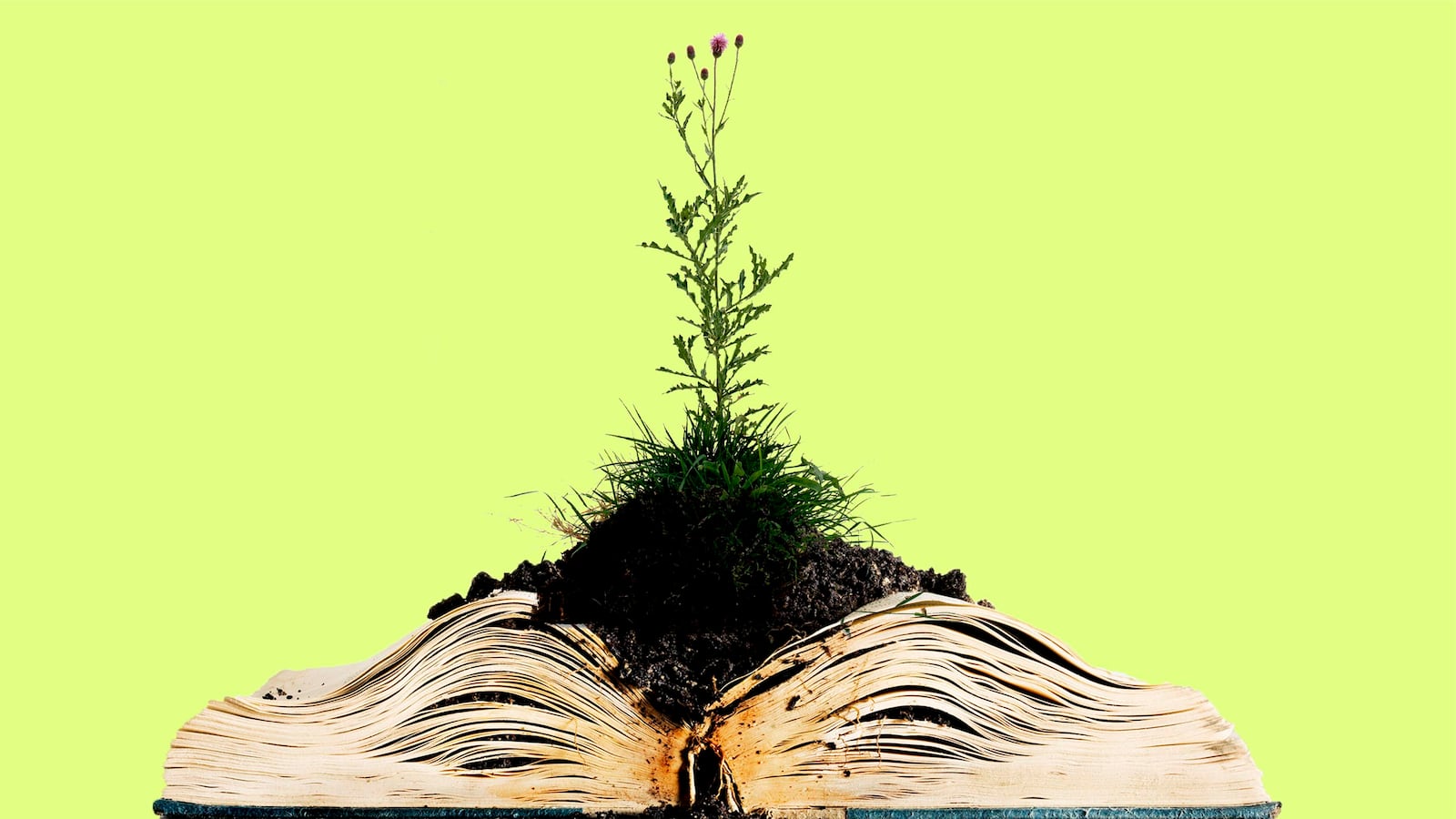 weeds weed brooklyn libary