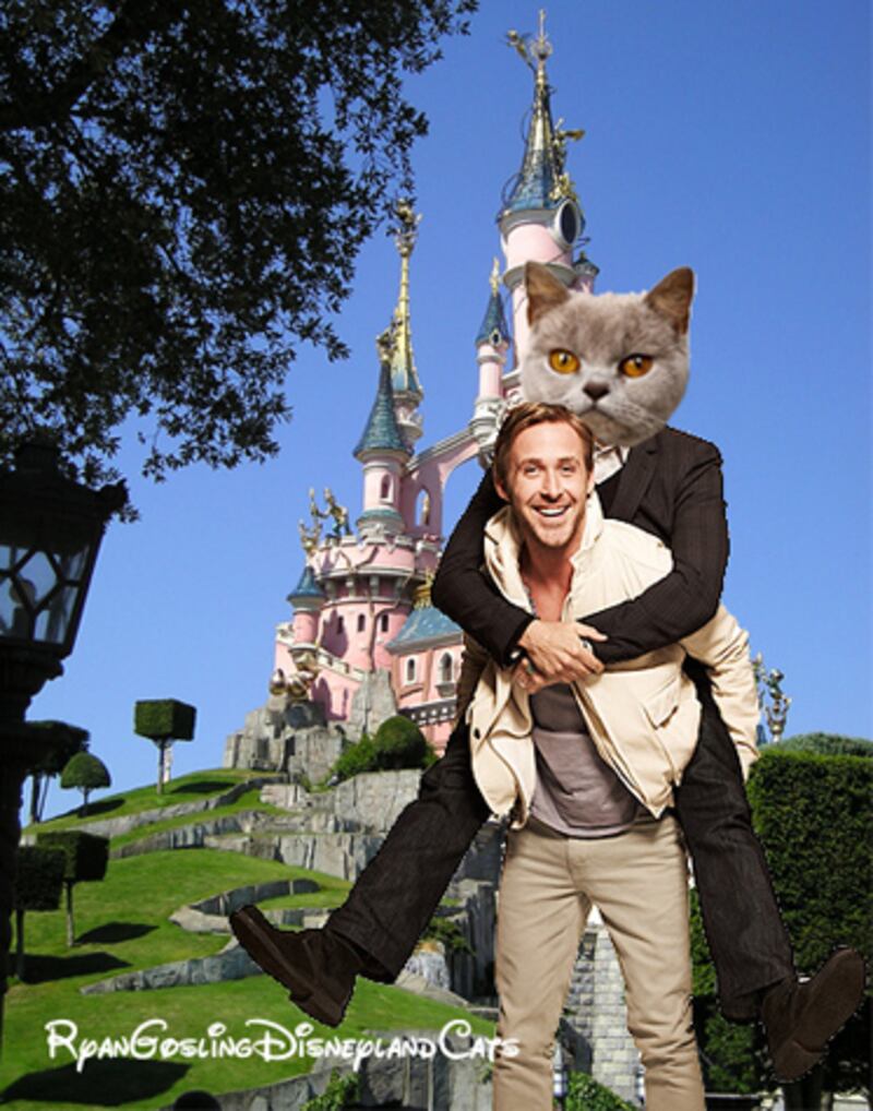 galleries/2012/04/05/ryan-gosling-memes-taxis-cuter-than-puppy-ex-boyfriend-gosling-and-more-photos/ryan-gosling-memes-disneylandcats_qtknjr