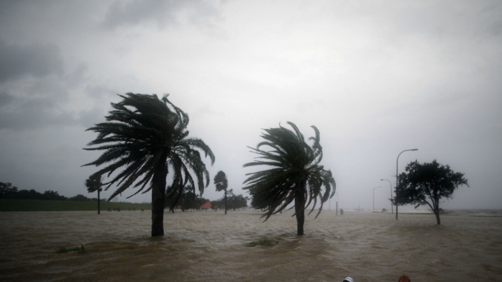 cheats/2012/08/28/isaac-pummels-the-gulf-coast/hurricane-isaac-batters-gulf-coast-cheat_c6tvpo