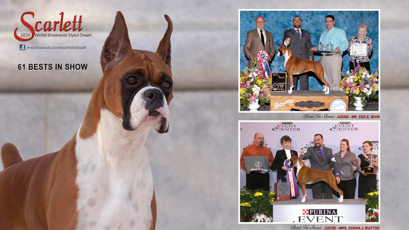 galleries/2012/02/08/the-best-show-dog-vanity-ads-photos/dog-ads-mccarroll-3_nula76