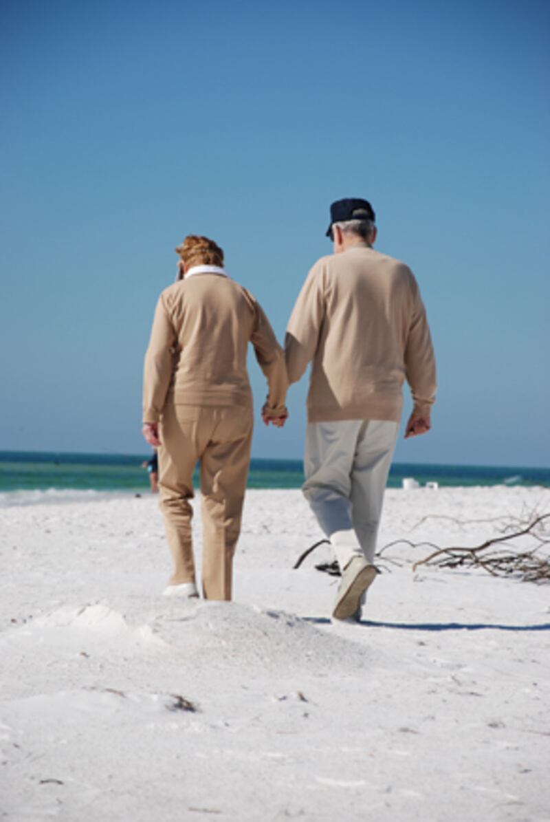 galleries/2010/11/09/vet-capitals/vet-capitals---bradenton-florida_z3j3ao