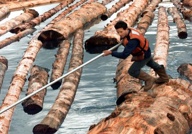 galleries/2010/04/07/dangerous-jobs/dangerous-jologging_tbs2rr