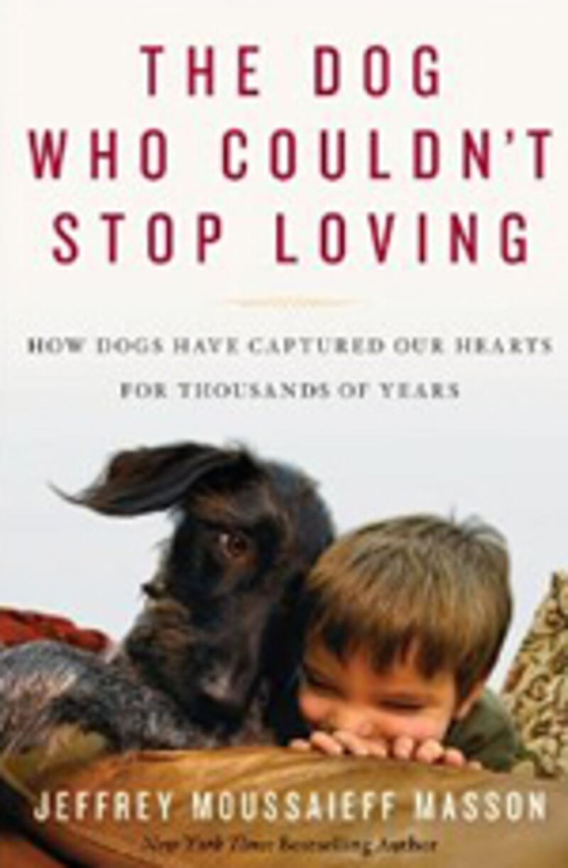articles/2010/11/10/the-lost-dogs-and-the-dog-who-couldnt-stop-loving-review/book-cover---the-dog-who-couldnt-stop-loving_dspnrf