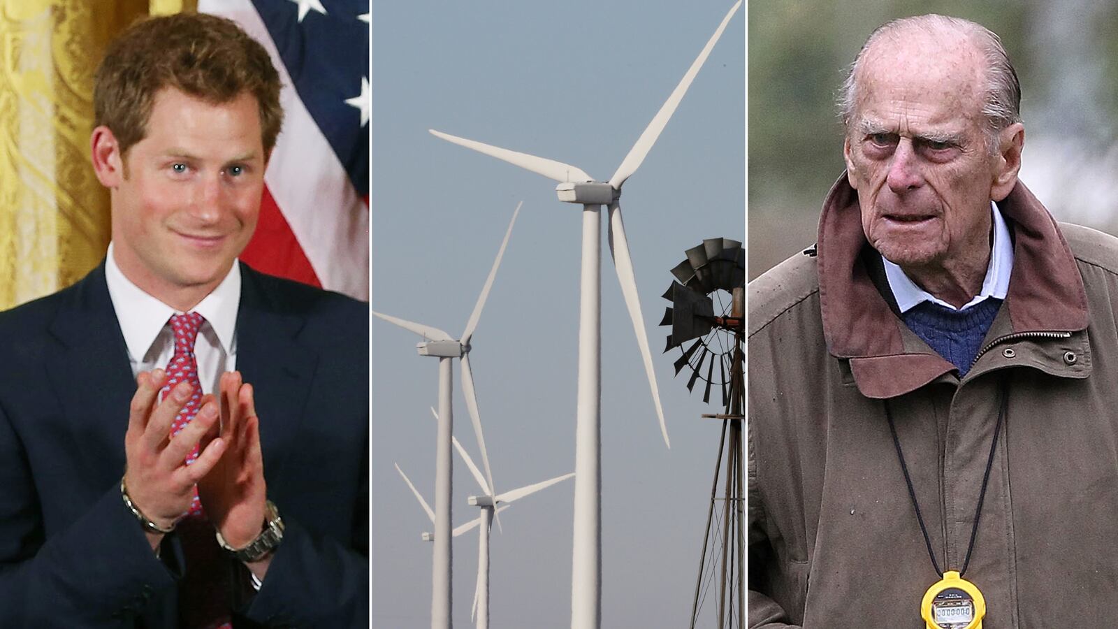 articles/2013/05/11/harry-like-charles-and-philip-tells-renewable-energy-boss-windmills-are-an-eyesore/130511-sykes-princes-turbine_xevu8n