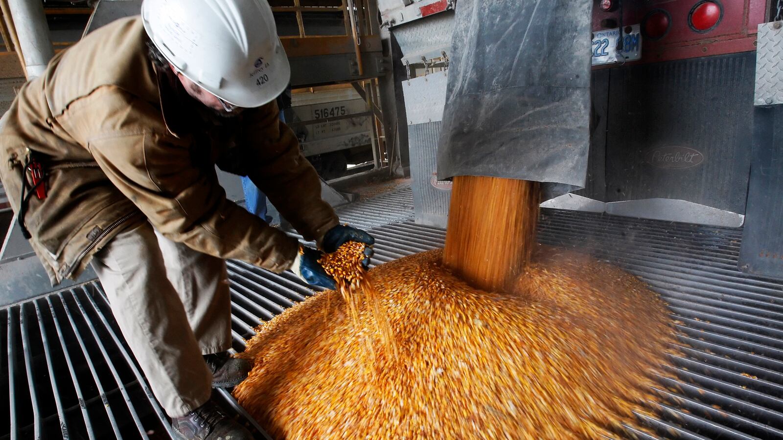 cheats/2014/04/21/study-corn-fuels-worse-than-gas/140421-corn-fuel-cheat_r0kcyo