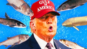 A photo illustration of Donald Trump and various species of Asian carp.