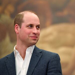 201119-sykes-william-harry-tease_mg98yu