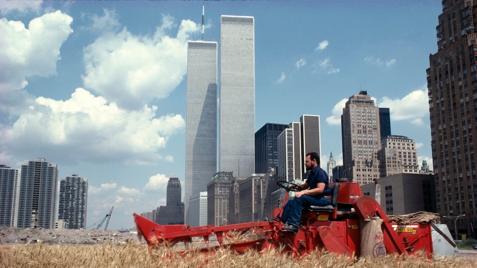 articles/2013/06/25/agnes-denes-at-ps1-is-the-daily-pic-by-blake-gopnik/denes-daily-pic_mou0b6