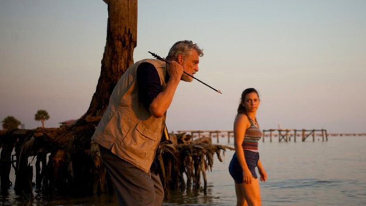 articles/2013/08/23/the-craziest-moments-from-ghost-shark-video/120822-ghost-shark-fallon-tease_xeavcp