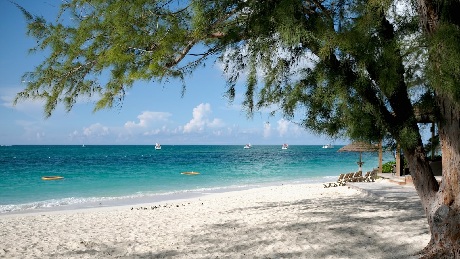 GettyImages-610497994_plxkb3