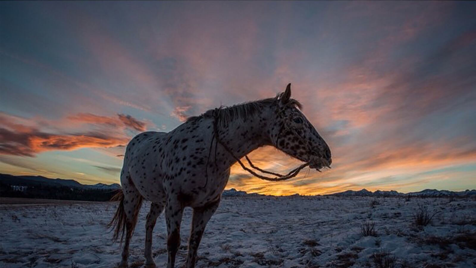galleries/2015/12/26/the-revenant-cinematographer-emmanuel-lubezki-s-stunning-photography/151225-yamato-revenant-gal-tease_jfoiqw