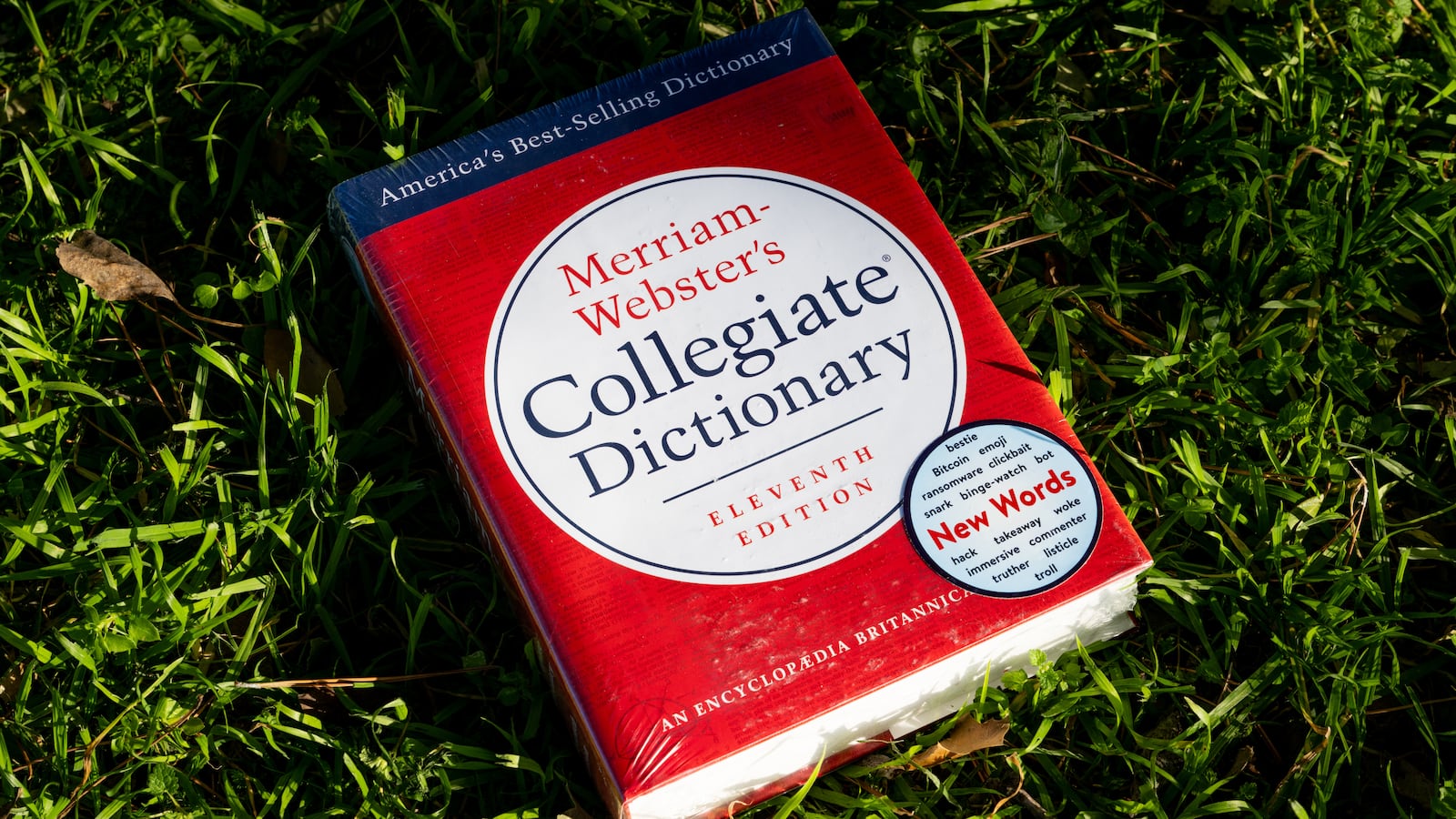 A copy of the Merriam-Webster Collegiate Dictionary sitting on top of blades of grass.