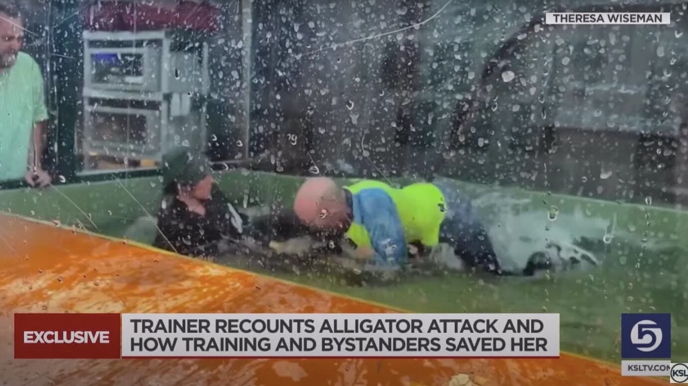 Screen_Shot_2021-08-17_at_11.14.07_nlmilp