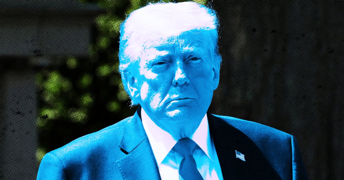 Photo: The Daily Beast Donald Trump