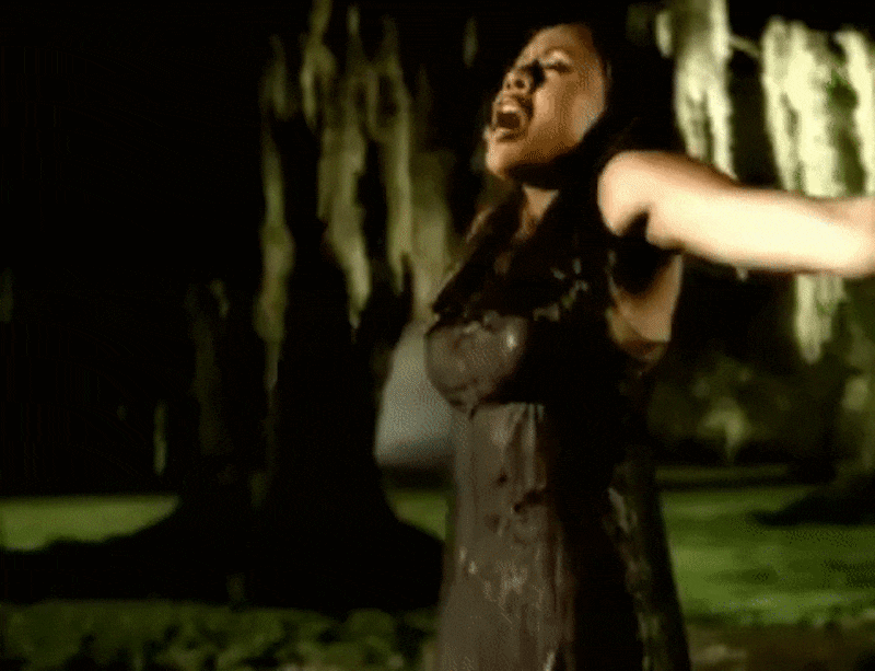 GleamingSpecificGentoopenguin-size_restricted_wfpk9w