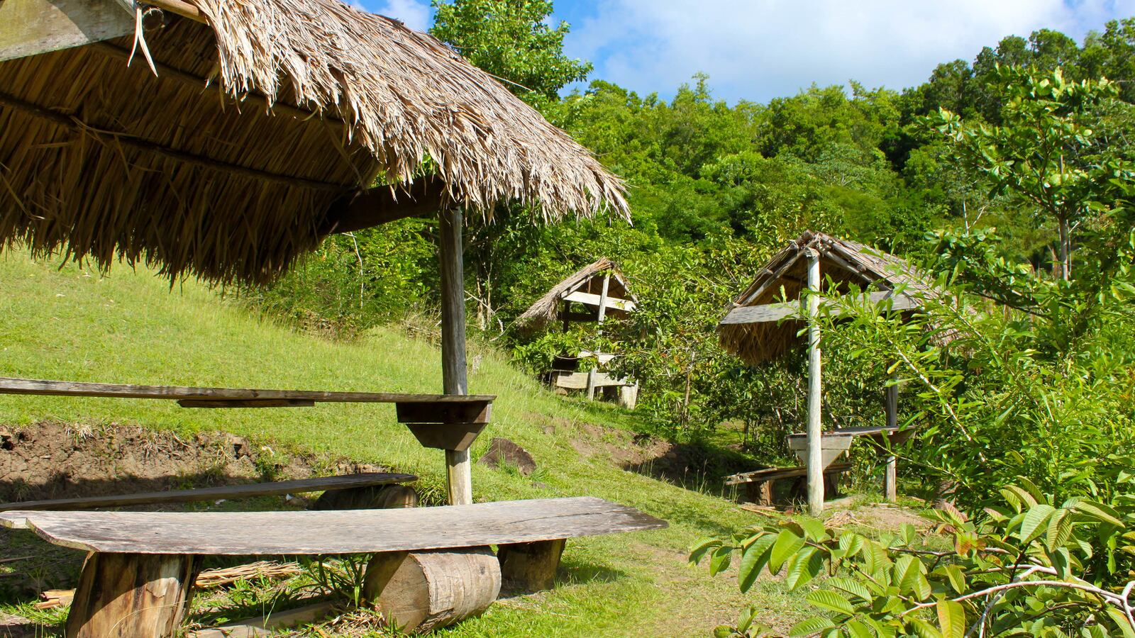 190328-velez-slavery-tease_ocuour