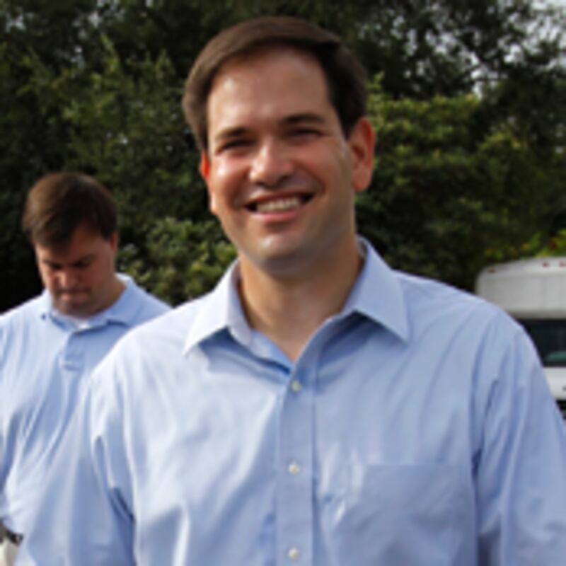 articles/2010/08/25/marco-rubio-republican-bright-spot-in-florida/primary-wrap---salam_122083_gdncrp