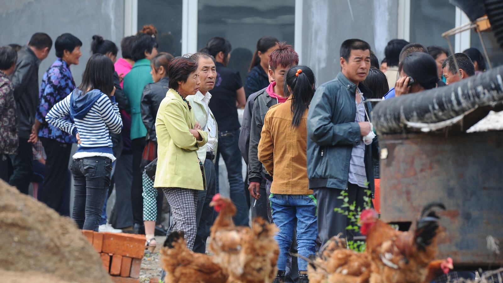 cheats/2013/06/03/chinese-poultry-plant-fire-kills-119/130603-china-poultry-fire-cheat_mxvepd