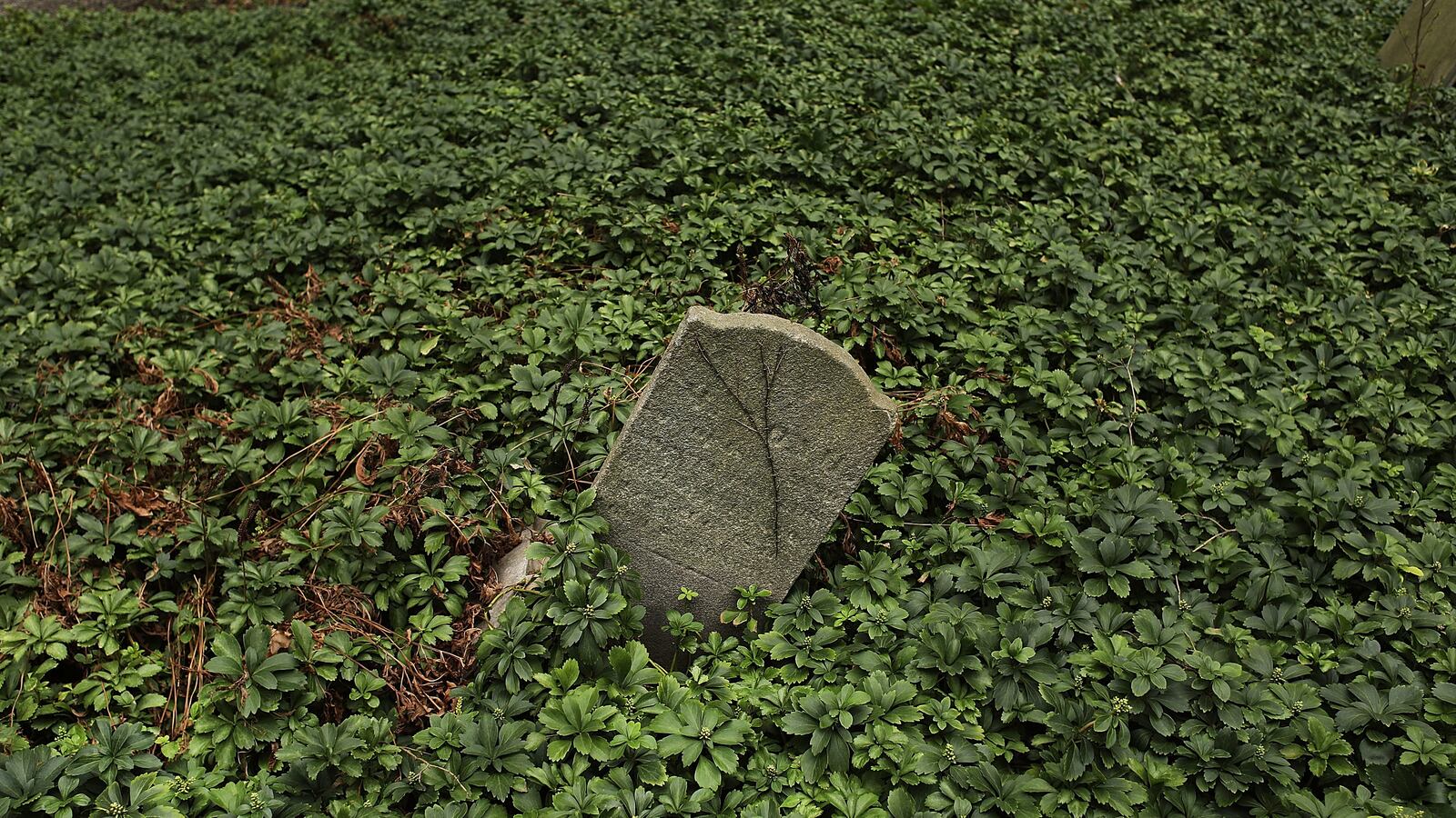 GettyImages-646010172_szjs0n