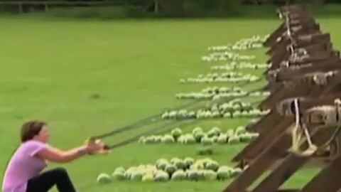 videos/2010/09/27/the-amazing-race-watermelon-attack/amazing-race-watermelon-120_zohvwl