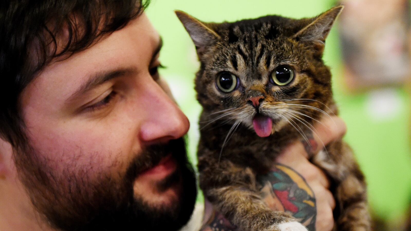 GettyImages-476297708_fy6nor