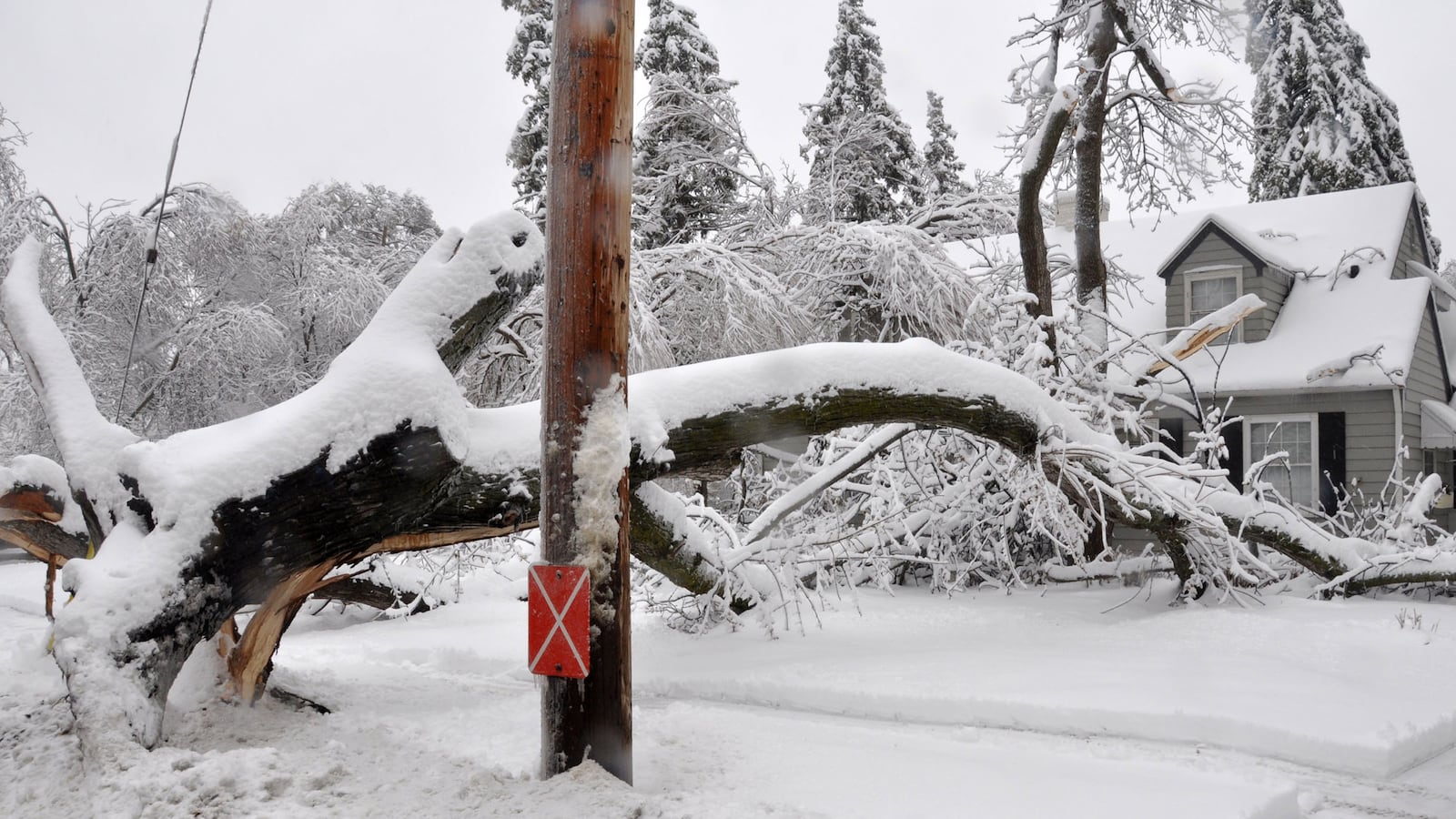 cheats/2013/04/12/midwest-hit-with-snowstorm/130412-spring-weather-snow-cheat_qdfgas