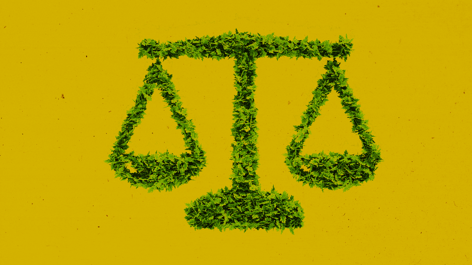 190911-Conversation-nature-legal-righs-tease_ad0kw3