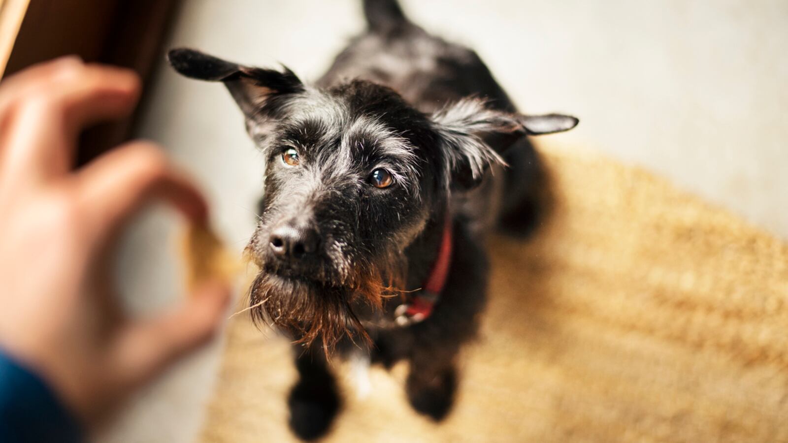 iStock-1280869124_ccc7hm