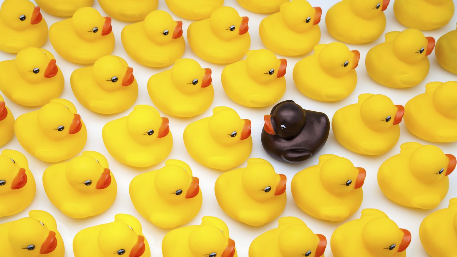 articles/2014/09/28/why-bigotry-persists/140926-bronner-bigot-tease_zxgb71