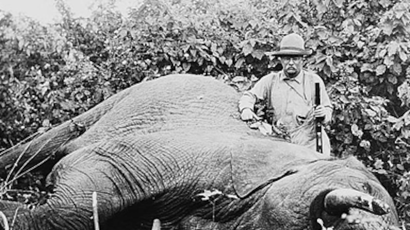 articles/2010/11/23/colonel-roosevelt-by-edmund-morris-review/kazin-roosevelt_143080_pnwd7a