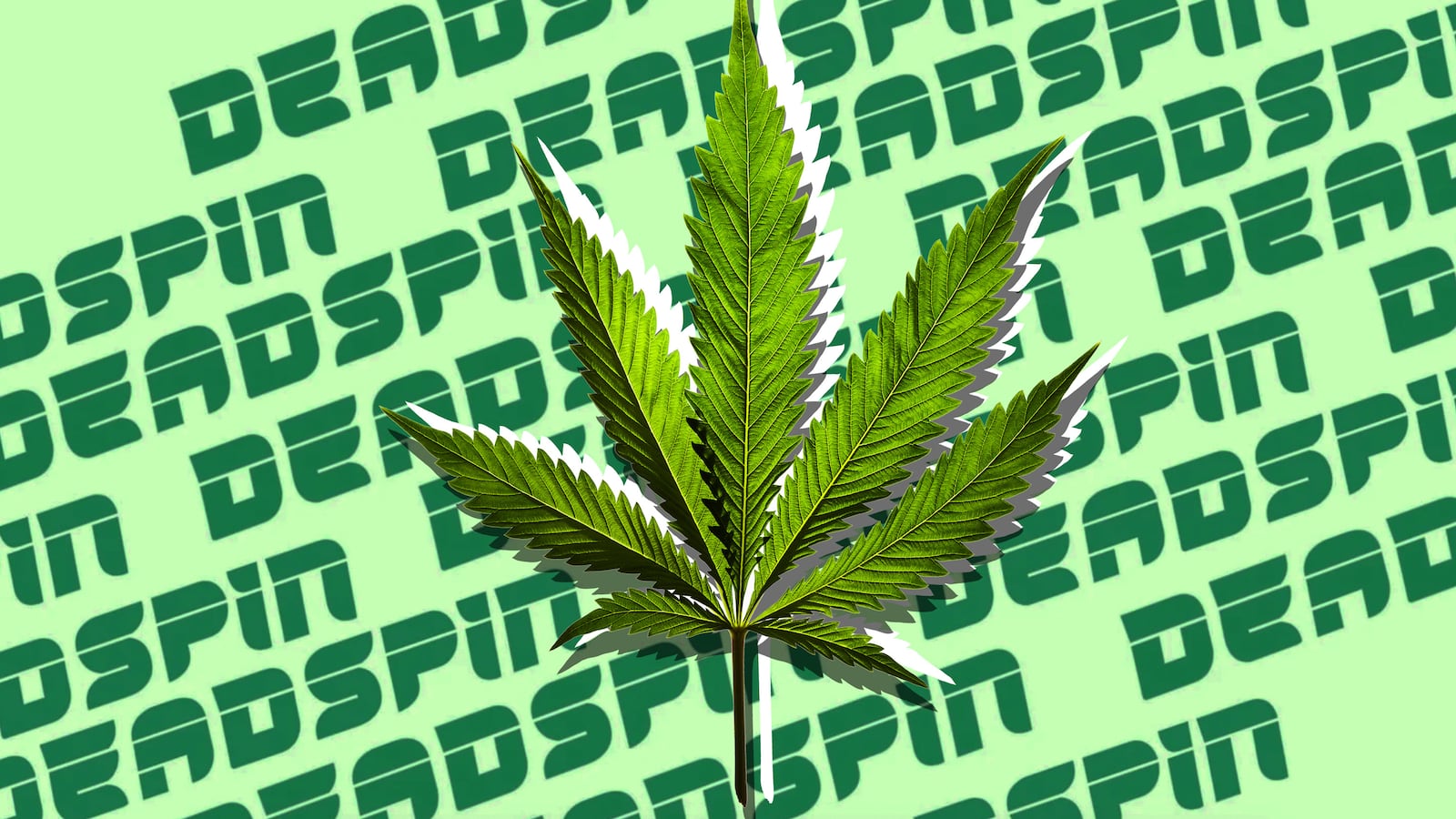 200419-tani-deadspin-tease_hjv1fr