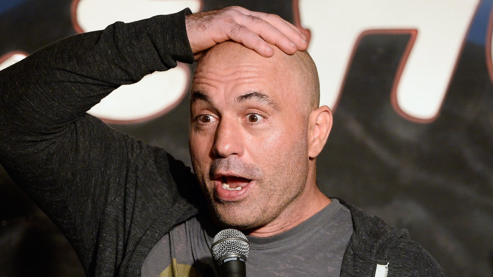 Comedian Joe Rogan.