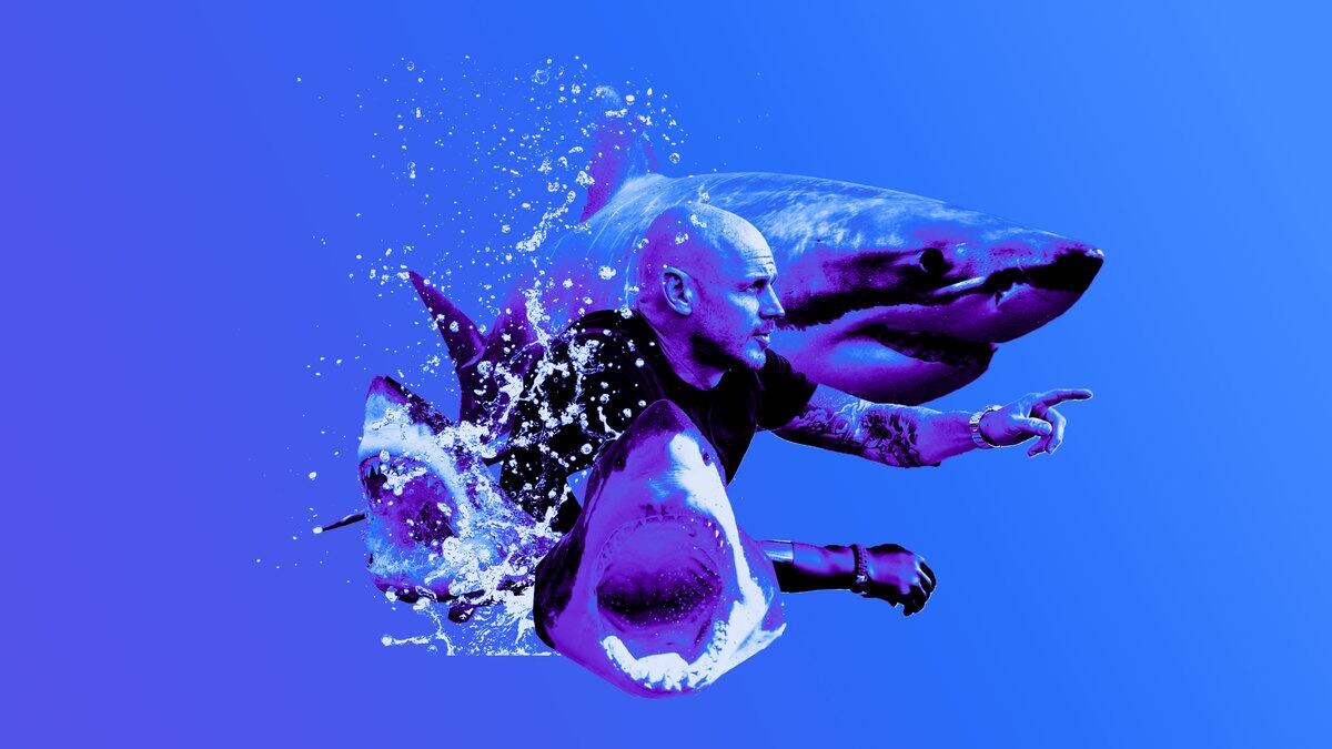 073022-fallon-shark-hero_hobv3y