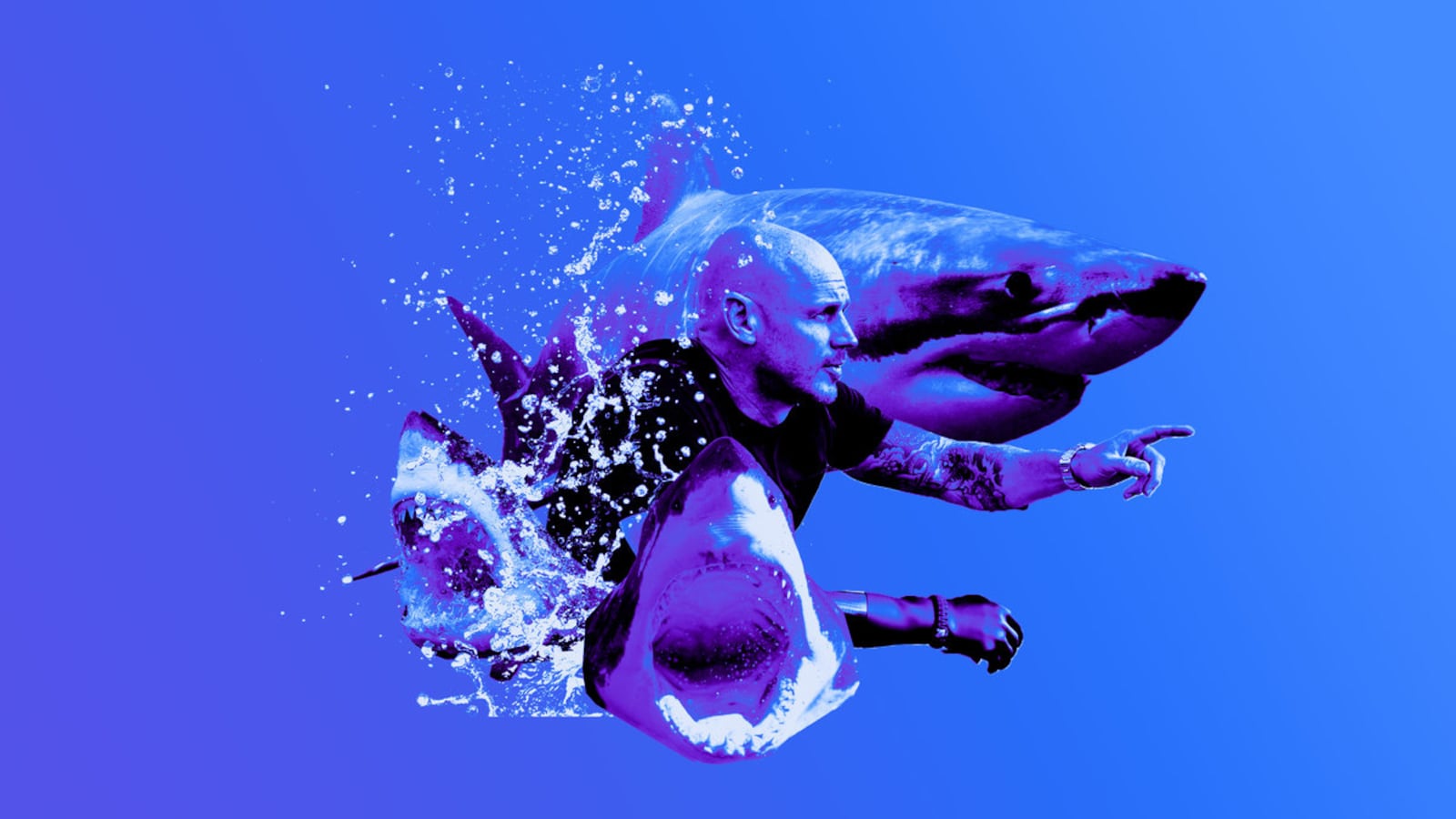 073022-fallon-shark-hero_hobv3y