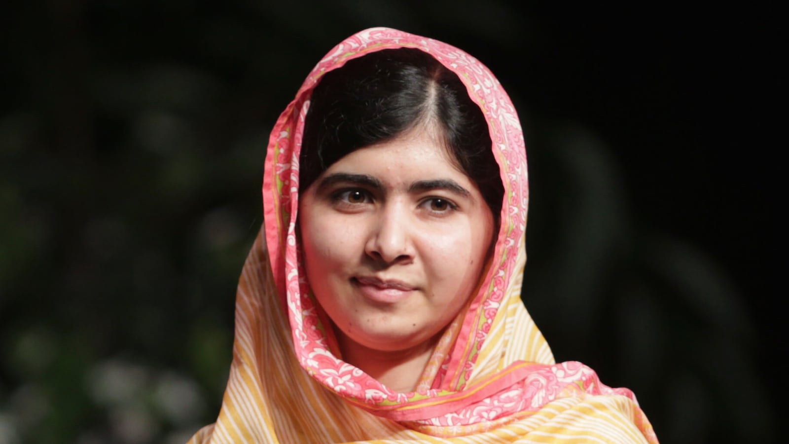 cheats/2014/09/12/malala-s-taliban-attackers-arrested/140912-malala-attackers-arrested-cheat_ubdowv