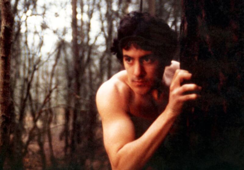 galleries/2009/11/16/hollywood-s-sexiest-werewolves/sexiest-werewolves---an-american-werewolf-in-london_uslmck