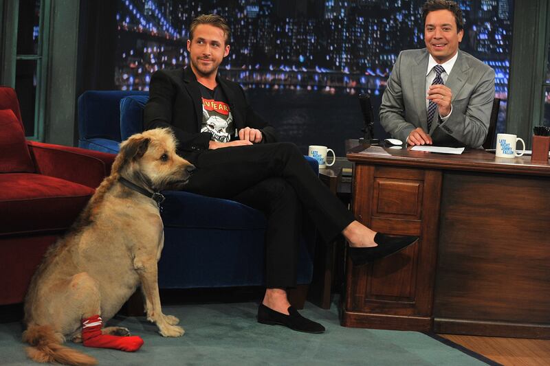 galleries/2011/12/05/uggy-and-other-famous-dogs-of-2011-photos/year-in-dogs-gosling_ikwxl5