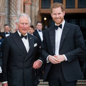 Charles and Prince Harry, in 2019 