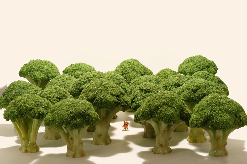 170715-small-wonders-4_f7nyrq