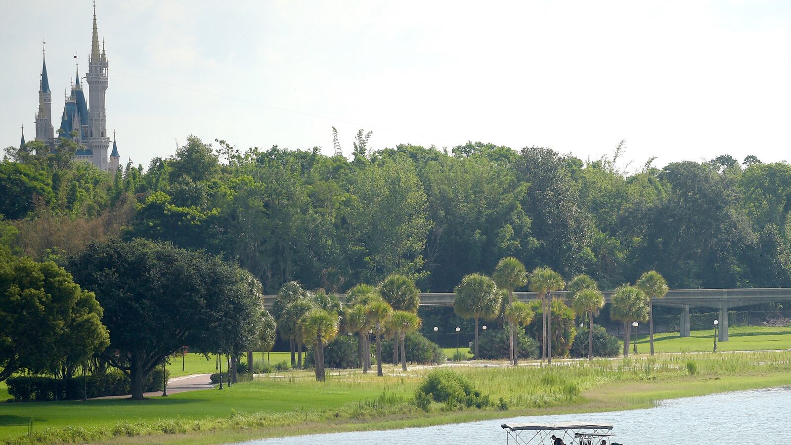 articles/2016/06/15/toddler-s-body-recovered-after-disney-alligator-attack/160615-kirell-florida-alligator-tease_nn1jg9