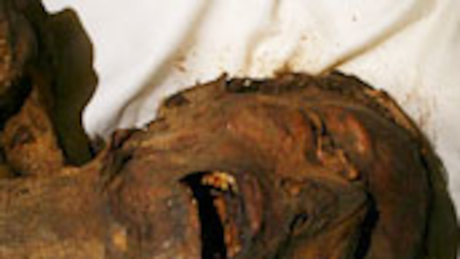 articles/2008/11/22/secrets-of-the-screaming-man/screaming-man_5486_kqb3ve