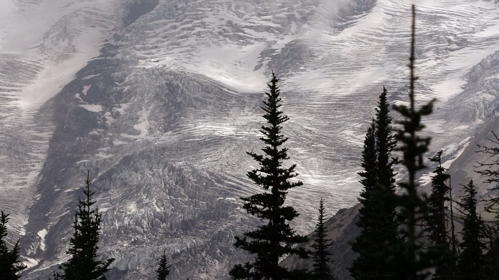 cheats/2012/06/22/ranger-dies-on-mount-rainier/mount-rainier-ranger-death-cheat_iqt6bc