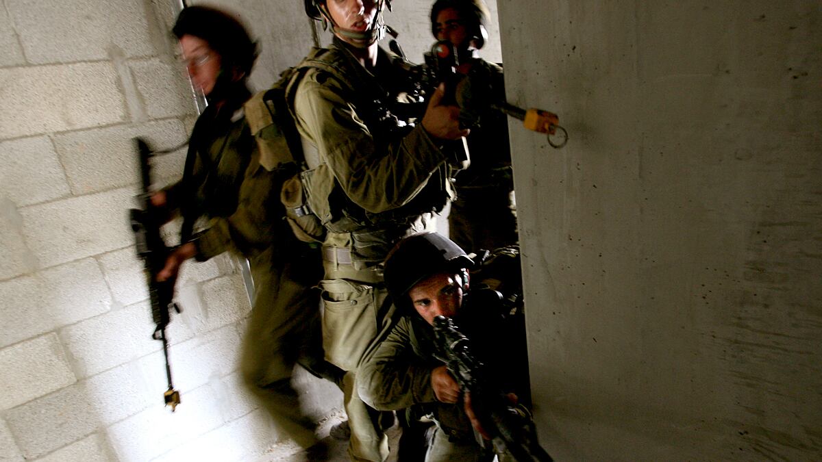 articles/2013/06/10/idf-budget-cuts-are-an-opportunity-in-disguise/israeli-defense-force-ephron_gunchs